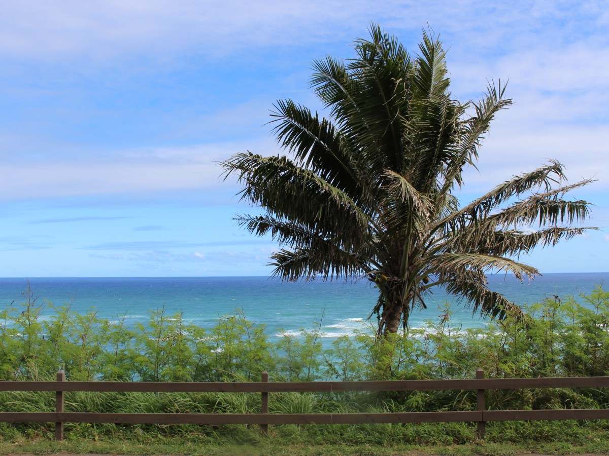 How to Plan a Cheaper Trip to Hawaii